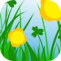 鲸鱼传媒app