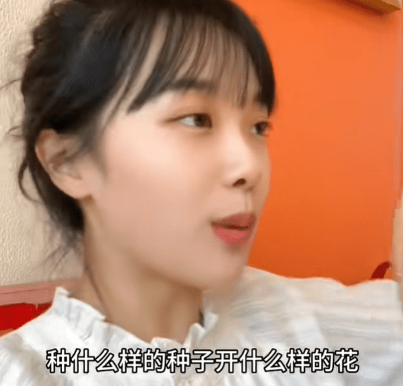 挖呀挖呀挖是什么意思-在小小的花园里面挖呀挖呀挖是什么歌