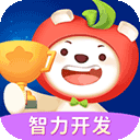 脑力大冒险_logo