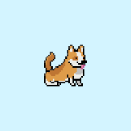柯基奔跑Corgi Run安卓下载